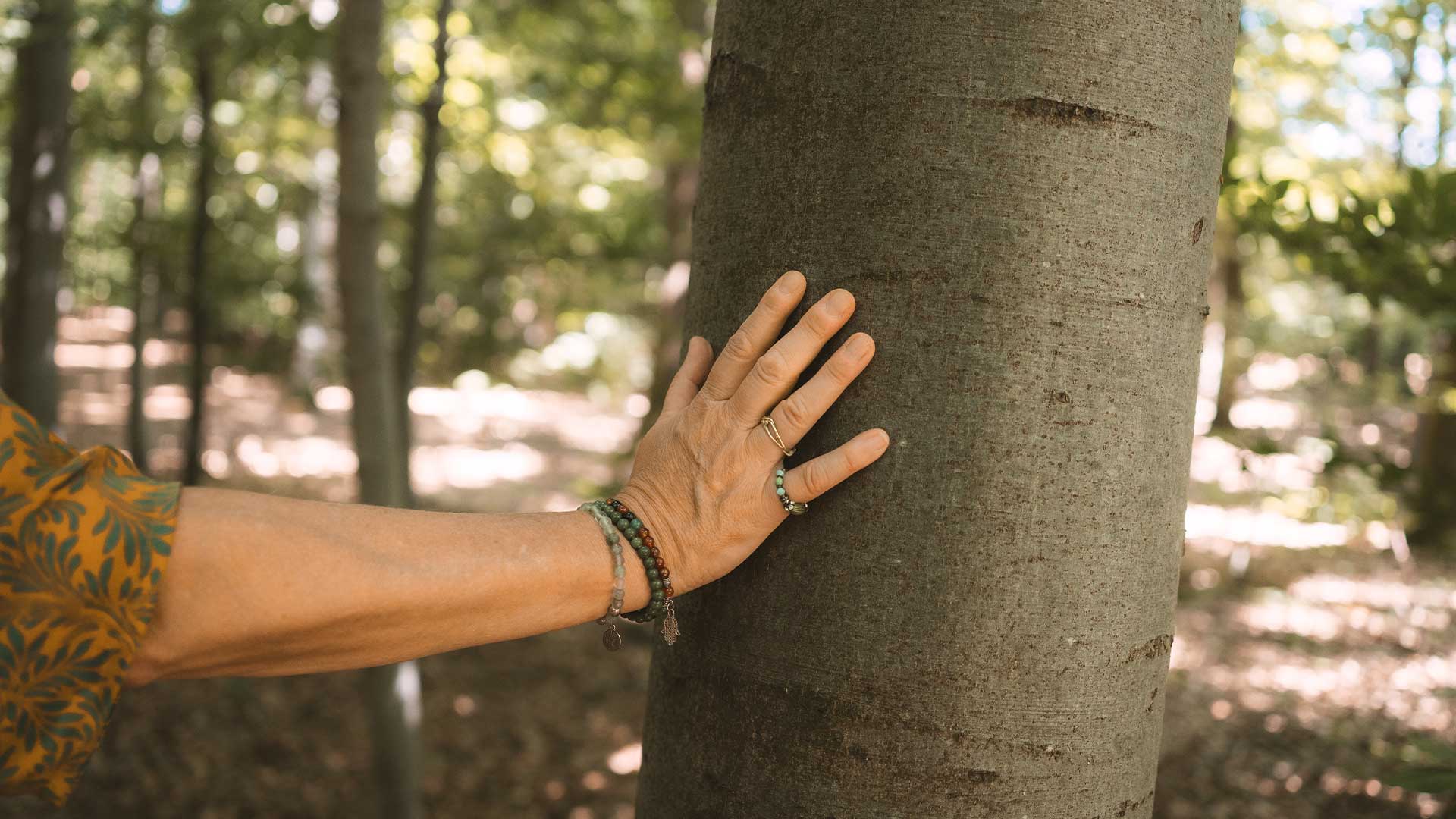 Margrit Loho geht einen Waldweg entlang