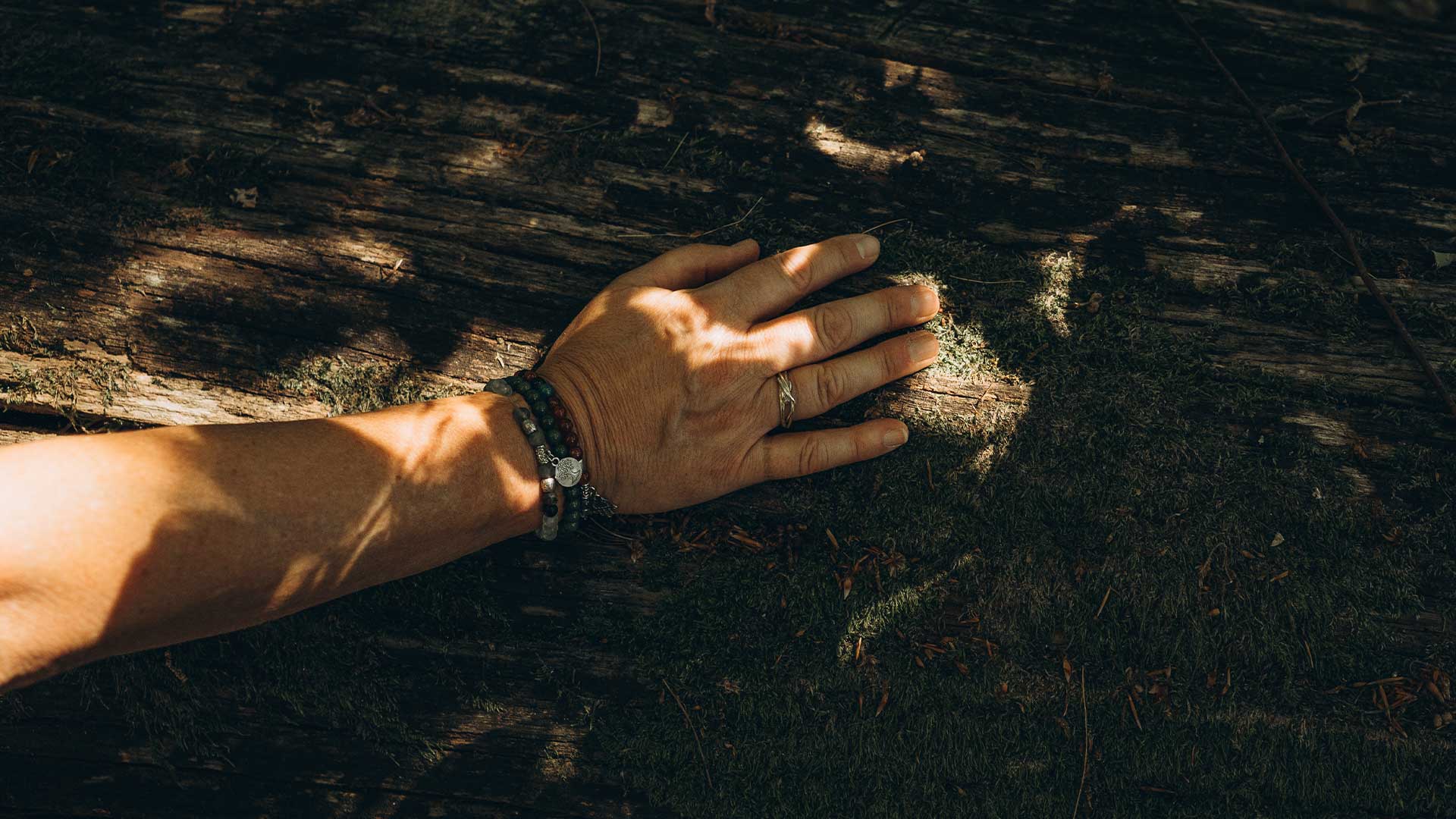 Margrit Loho geht einen Waldweg entlang und streicht einen Baum